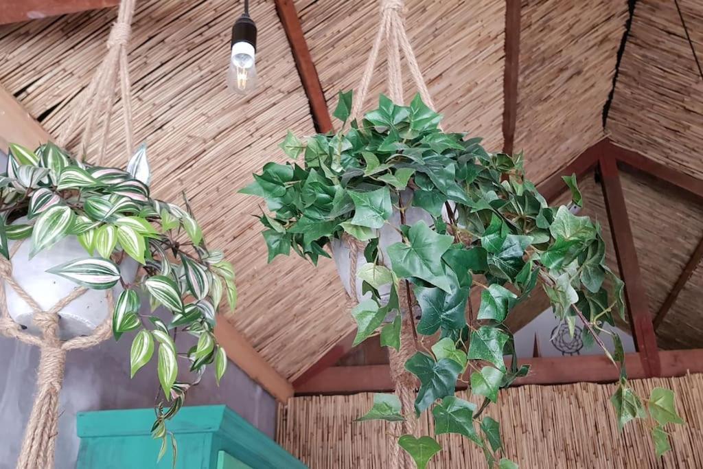 Balistyle Guesthouse Incl Hottub Near Amsterdam And Haarlem Velsen-Zuid Esterno foto